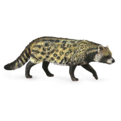 Afrikaanse Civetkat
