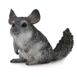 Chinchilla