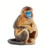 Safari snub nosed monkey