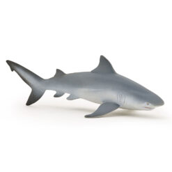 Stierhaai - bullshark