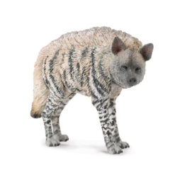 witte Hyena 