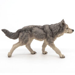 Grijze Wolf