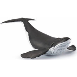 Walvis Kalf