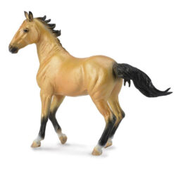 Akhal-Teke Merrie Buckskin