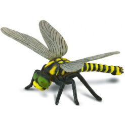 Collecta Insecten (L): Libelle