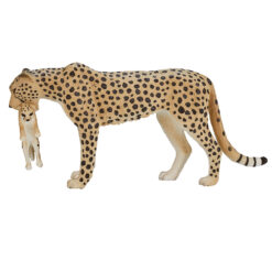 Mojo Cheetah met jong
