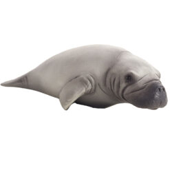 Mojo Manatee