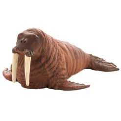Mojo Walrus