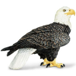 Safari Bald Eagle