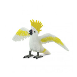 Safari Kakatoe