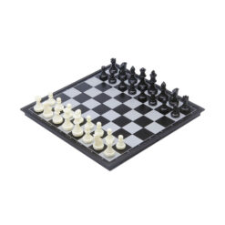 magnetisch schaak en backgammon spel