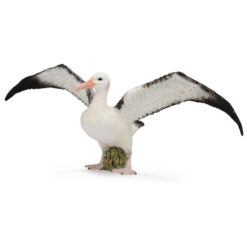 Grote Albatros