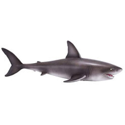 Mojo Great white shark