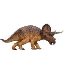 Mojo Triceratops