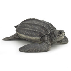 Papo Lederschildpad