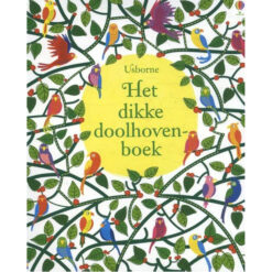 Het dikke doolhovenboek