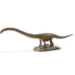 Er-ma the Mamenchisaurus 1:35