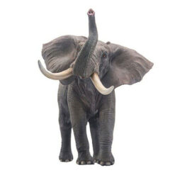 Mamman the African Elephant