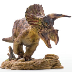 pnso Doyle the Triceratops