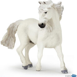 Camarque Paard