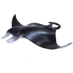 Mojo Manta rog