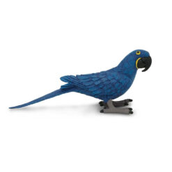 Safari Hyacinth Macaw