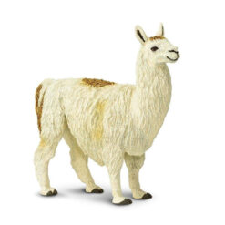 De lama is een gedomesticeerd lid van de Camelidae-familie die voorkomt in Peru, Bolivia, Chili, Argentinië en Ecuador, ma