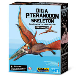 4m Pterandon skelet uitgraven