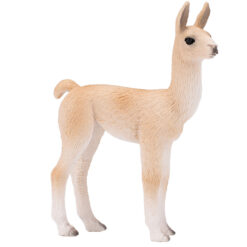 Mojo Lama jong