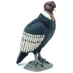 Papo Condor