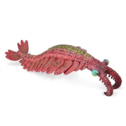 Collecta 3388977 Anomalocaris