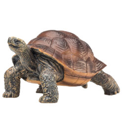 Mojo 387259 reuzenschildpad